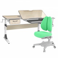 Комплект растущая парта Anatomica Study-120 + кресло Anatomica Armata Duos клен/серый/зеленый