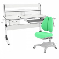 Комплект растущая парта Anatomica Study-120 Lux + кресло Anatomica Armata Duos  белый/серый/зеленый