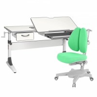 Комплект растущая парта Anatomica Study-120 + кресло Anatomica Armata  Duos белый/серый/зеленый
