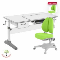 Комплект  парта Anatomica Uniqa Lite + кресло Anatomica Armata  Duos белый/серый/зеленый