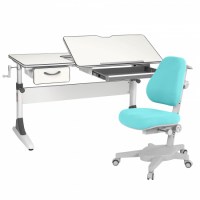Комплект растущая парта Anatomica Study-120 + кресло Anatomica Armata белый/серый/голубой 