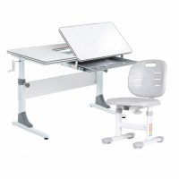 Комплект растущая парта Anatomica Study-100 + со стулом Anatomica Lux-Pro белый/серый/серый