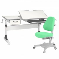 Комплект растущая парта Anatomica Study-120 + кресло Anatomica Armata белый/серый/зеленый 